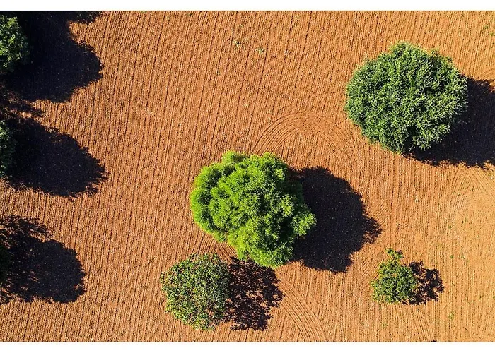 Hébergement de vacances Fabelhafte Restaurierung Mit Beeindruckendem Ergebnis By Interhome *