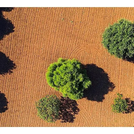 Holiday home Fabelhafte Restaurierung Mit Beeindruckendem Ergebnis By Interhome *